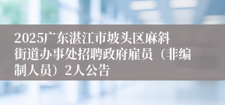 2025广东湛江市坡头区麻斜街道办事处招聘政府雇员（非编制人员）2人公告