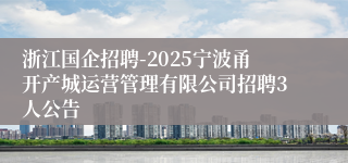 浙江国企招聘-2025宁波甬开产城运营管理有限公司招聘3人公告