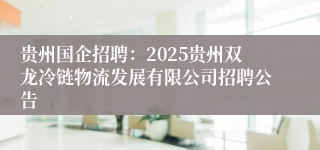 贵州国企招聘:2025贵州双龙冷链物流发展有限公司招聘公告