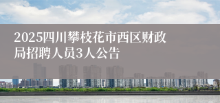 2025四川攀枝花市西区财政局招聘人员3人公告
