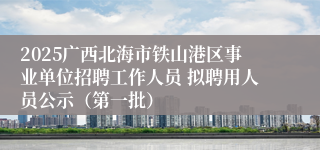 2025广西北海市铁山港区事业单位招聘工作人员 拟聘用人员公示（第一批）