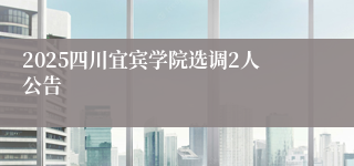 2025四川宜宾学院选调2人公告