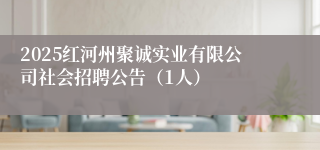 2025红河州聚诚实业有限公司社会招聘公告(1人)