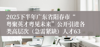 2025下半年广东省阳春市“粤聚英才粤见未来”公开引进各类高层次（急需紧缺）人才63人公告