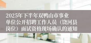 2025年下半年双鸭山市事业单位公开招聘工作人员（饶河县岗位）面试资格现场确认的通知