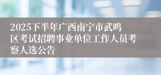 2025下半年广西南宁市武鸣区考试招聘事业单位工作人员考察人选公告