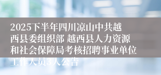 2025下半年四川凉山中共越西县委组织部 越西县人力资源和社会保障局考核招聘事业单位工作人员3人公告