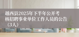 越西县2025年下半年公开考核招聘事业单位工作人员的公告(3人)