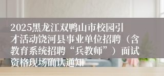 2025黑龙江双鸭山市校园引才活动饶河县事业单位招聘(含教育系统招聘“兵教师”)面试资格现场确认通知