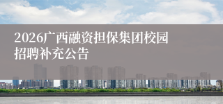 2026广西融资担保集团校园招聘补充公告