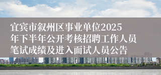 宜宾市叙州区事业单位2025年下半年公开考核招聘工作人员笔试成绩及进入面试人员公告