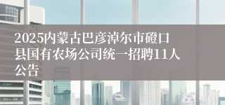 2025内蒙古巴彦淖尔市磴口县国有农场公司统一招聘11人公告