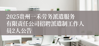 2025贵州一禾劳务派遣服务有限责任公司招聘派遣制工作人员2人公告