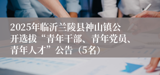 2025年临沂兰陵县神山镇公开选拔“青年干部、青年党员、青年人才”公告（5名）