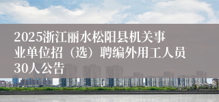 2025浙江丽水松阳县机关事业单位招（选）聘编外用工人员30人公告