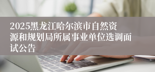 2025黑龙江哈尔滨市自然资源和规划局所属事业单位选调面试公告