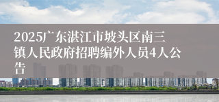 2025广东湛江市坡头区南三镇人民政府招聘编外人员4人公告