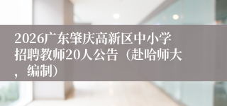2026广东肇庆高新区中小学招聘教师20人公告（赴哈师大，编制）
