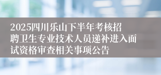 2025四川乐山下半年考核招聘卫生专业技术人员递补进入面试资格审查相关事项公告