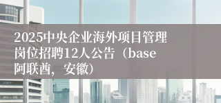 2025中央企业海外项目管理岗位招聘12人公告(base阿联酋,安徽)