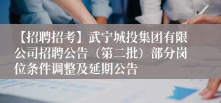 【招聘招考】武宁城投集团有限公司招聘公告（第二批）部分岗位条件调整及延期公告