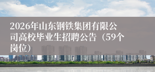 2026年山东钢铁集团有限公司高校毕业生招聘公告（59个岗位）