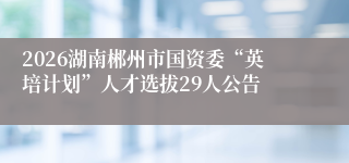 2026湖南郴州市国资委“英培计划”人才选拔29人公告