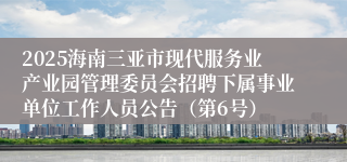 2025海南三亚市现代服务业产业园管理委员会招聘下属事业单位工作人员公告（第6号）