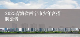 2025青海省西宁市少年宫招聘公告