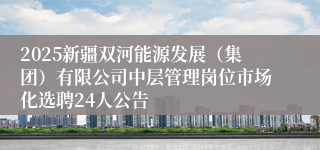 2025新疆双河能源发展（集团）有限公司中层管理岗位市场化选聘24人公告