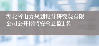 湖北省电力规划设计研究院有限公司公开招聘安全总监1名
