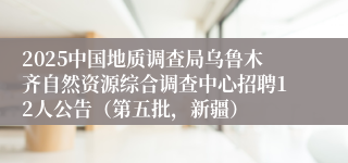 2025中国地质调查局乌鲁木齐自然资源综合调查中心招聘12人公告（第五批，新疆）