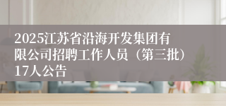 2025江苏省沿海开发集团有限公司招聘工作人员（第三批）17人公告