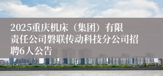 2025重庆机床（集团）有限责任公司磐联传动科技分公司招聘6人公告