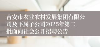 吉安市农业农村发展集团有限公司及下属子公司2025年第二批面向社会公开招聘公告