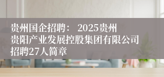 贵州国企招聘： 2025贵州贵阳产业发展控股集团有限公司招聘27人简章
