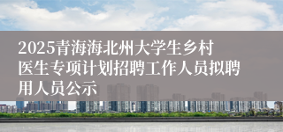 2025青海海北州大学生乡村医生专项计划招聘工作人员拟聘用人员公示