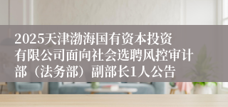 2025天津渤海国有资本投资有限公司面向社会选聘风控审计部（法务部）副部长1人公告