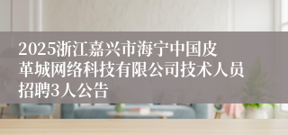 2025浙江嘉兴市海宁中国皮革城网络科技有限公司技术人员招聘3人公告