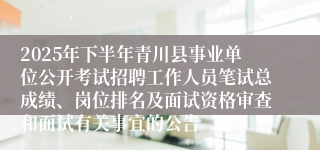 2025年下半年青川县事业单位公开考试招聘工作人员笔试总成绩、岗位排名及面试资格审查和面试有关事宜的公告