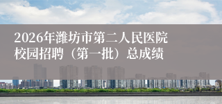 2026年潍坊市第二人民医院校园招聘（第一批）总成绩