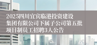 2025四川宜宾临港投资建设集团有限公司下属子公司第五批项目制员工招聘3人公告