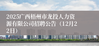 2025广西梧州市龙投人力资源有限公司招聘公告（12月22日）