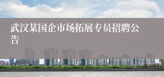 武汉某国企市场拓展专员招聘公告