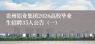 贵州铝业集团2026高校毕业生招聘35人公告(一)