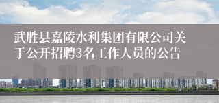 武胜县嘉陵水利集团有限公司关于公开招聘3名工作人员的公告