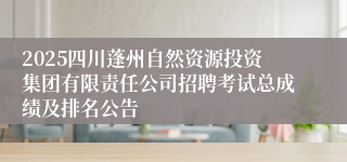 2025四川蓬州自然资源投资集团有限责任公司招聘考试总成绩及排名公告