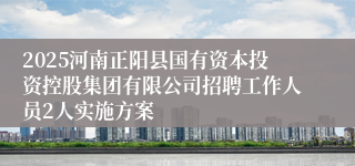 2025河南正阳县国有资本投资控股集团有限公司招聘工作人员2人实施方案