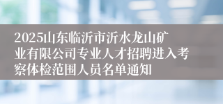2025山东临沂市沂水龙山矿业有限公司专业人才招聘进入考察体检范围人员名单通知