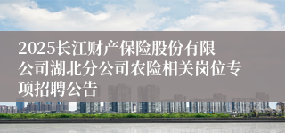2025长江财产保险股份有限公司湖北分公司农险相关岗位专项招聘公告